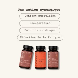 Box Femme Sportive