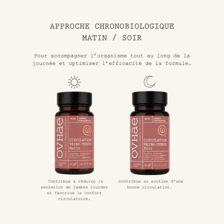 Circulation veino-tonic 2