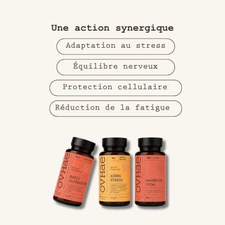Box Anti-Stress 2