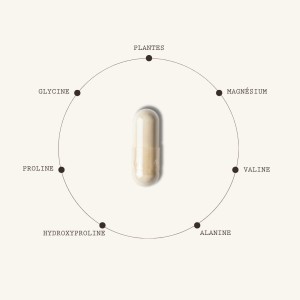 Circulation veino-tonic