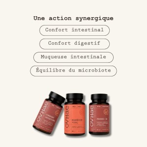 Box Confort Intestinal