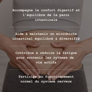 Box Confort Intestinal
