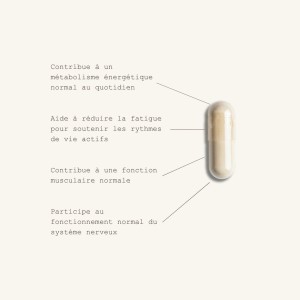 Magnésium vital